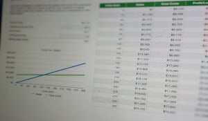 Spreadsheet on a computer screen